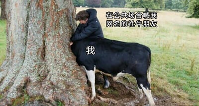 暂无描述