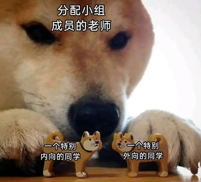 图片展示了一只柴犬正专注地俯视着两个小狗玩偶，上方文字标注为"分配小组成员的老师"。左边的玩偶旁标注"一个特别内向的同学"，右边的玩偶旁标注"一个特别外向的同学"。这张梗图通过拟人化的方式，幽默地表现了老师在分配小组成员时面对性格迥异的学生时的情景，暗喻了现实中老师安排小组成员时可能遇到的有趣状况。