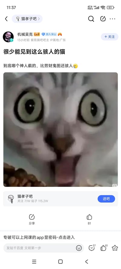 这是百度贴吧「猫孝子吧」的一则帖子，楼主「机械吴克」（紫苑镇吧吧主，IP属地广东）发布了一张截取自动画的猫咪截图，图中猫咪双眼圆睁、嘴巴大张，表情极度夸张惊悚。楼主配文调侃截图者是「神人」，称这张图比网络热传的「劳财鬼图」还要骇人，帖子获得了81个点赞，该贴吧拥有7.1万关注者、115.2万贴子。