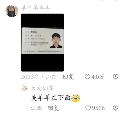 这张图是一条配有身份证照片的社交平台动态和下方评论的截图。楼主分享了自己的身份证图片，有一条高赞评论调侃“美羊羊在下面”，既有双关，也有谐音和搞笑成分：一方面在图片下方评论的字面意思是“在下方”，另一方面“美羊羊”是喜羊羊与灰太狼动画中的角色，用于称呼本人带有自夸的自称，具有一定网络调侃氛围。

**双关/谐音梗说明**：
- “美羊羊在下面”一语双关，指评论在图片下方（位置梗），同时调侃楼主昵称“羊了羊羊羊”和动画角色“美羊羊”。