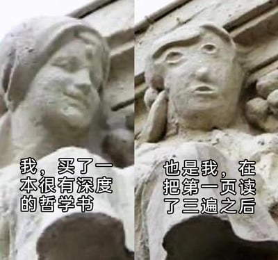 这是一张采用左右对比形式的文字加注梗图，左侧是神态自信从容的石雕，配文描述自己买下一本有深度哲学书时的满足状态；右侧是同一石雕（不同角度呈现出反差表情），配文表现自己反复阅读第一页后依然无法理解的震惊与迷茫。图中用石雕的表情反差，精准还原了很多人想要涉足深度书籍却难以入门的尴尬与真实心理，通过自嘲的方式引发共鸣。