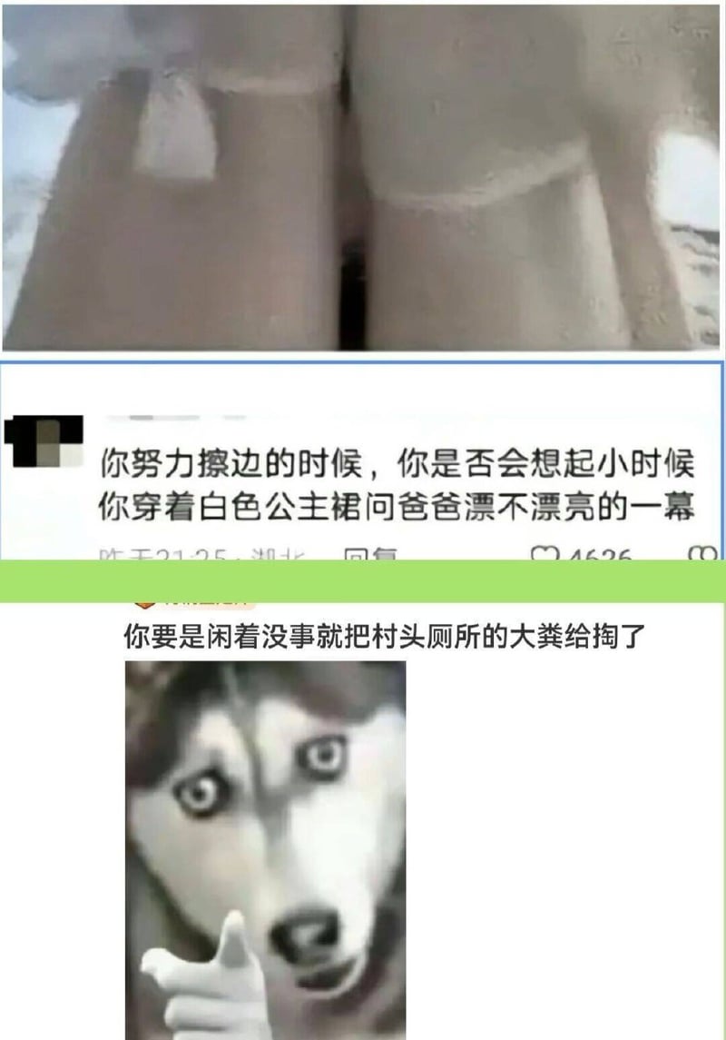 哈士奇