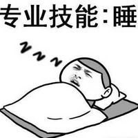 图片中是一个卡通风格的男性角色，他正躺在枕头上，身上盖着被子，双眼紧闭，嘴巴微张，头顶有“zzz”的符号表示正在熟睡。左上角配有文字“专业技能：睡”，以幽默的方式将睡觉调侃为一种“专业技能”，整体风格轻松搞笑，没有双关或谐音梗。