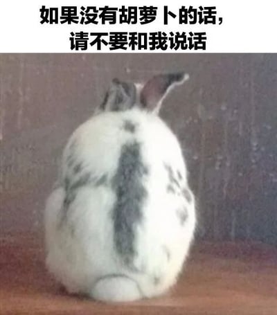图片中是一只灰白相间的兔子背影，它正坐在木质表面上，背对着镜头，背景是一面朴素的墙壁。图片顶部有一行黑色加粗文字：“如果没有胡萝卜的话，请不要和我说话”。兔子的姿态显得有些高冷，仿佛在表达对胡萝卜的极度执着，只有胡萝卜才能引起它的注意，整体画面可爱又带点小傲娇。