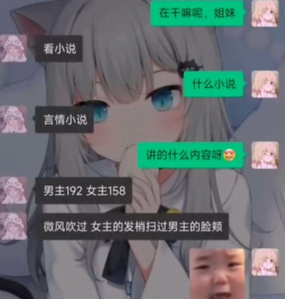 这是一张叠加在二次元猫耳少女插画背景上的微信聊天截图，对话中，发问的女生询问好友正在做什么，好友表示正在看言情小说；发问女生继续追问小说内容，好友介绍称小说男主身高192，女主身高158，其中一个情节是微风吹过，女主的发梢扫过男主的脸颊；最后发问女生发出一张小孩咧嘴哭笑的表情包，这个图的笑点在于，按照两人的身高差，158cm的女主发梢根本无法碰到192cm男主的脸颊，吐槽了部分言情小说里不符合物理常识的刻意甜梗。