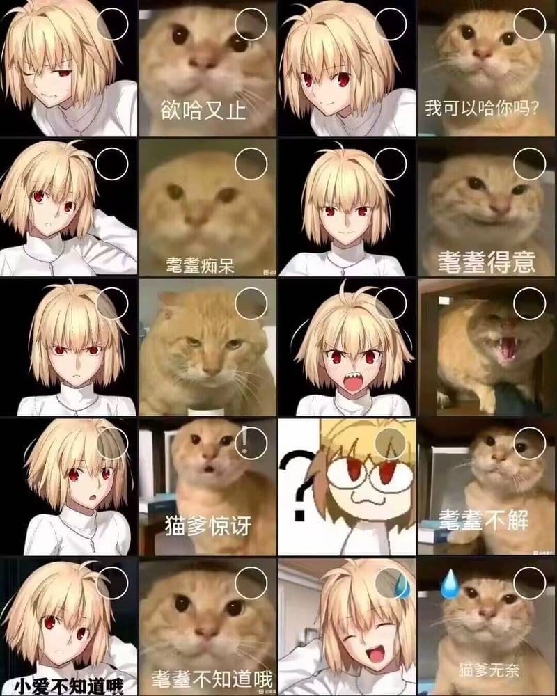 月姬