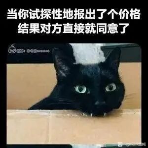 这是一张文字加注的P图改编表情包，画面主体是一只从纸箱缝隙中探出头的黑猫，它眼睛圆睁，露出惊讶又略带错愕的神情，和图上方的配文“当你试探性地报出了个价格 结果对方直接就同意了”形成完美呼应。配文描述的是一种常见的交易或报价场景：原本只是抱着试探的心态报出一个可能偏高的价格，做好了被对方砍价、协商的准备，没想到对方直接应允，这种意外的结果会让当事人瞬间产生惊讶、甚至懊悔自己没有报更高价格的情绪，黑猫的生动表情精准地诠释了这种复杂的心理状态，适合用来在社交场景中调侃这类报价、议价时的意外瞬间。