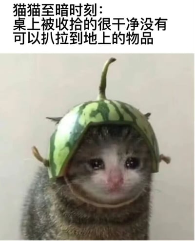 图片上方配有文字“猫猫至暗时刻：桌上被收拾的很干净没有可以扒拉到地上的物品”，下方是一只戴着西瓜皮头盔的小猫，眼神无辜，表情略显委屈，整体营造出猫咪因无法玩耍而失落的搞笑氛围。