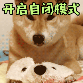 柴犬开启自闭模式 把头埋进毛绒玩具