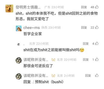 这是一张国内社交媒体评论区的静态截图，展示了五条网友的互动评论。第一条来自广东的用户以粗俗词汇打比方，表达“粪便形态的物质不会食用，但当其还原为原本的食物形态时就会接受”的荒诞观点；来自陕西的网友评论“哲学企业家”，调侃该观点充满哲学意味；北京的网友则提出哲学式疑问“shit在成为shit之前能被叫做shit吗”，附带思考表情；另有北京网友用化学“可逆反应”的概念玩梗，后续还回复该哲学疑问，玩起“预制shit（bushi）”的预制菜相关谐音梗。评论者的头像多为柴犬类网络表情包，整体内容是网友围绕荒诞比喻展开的趣味玩梗互动，充满网络流行梗和跨领域的搞笑联想，评论的点赞数也体现了内容的受欢迎程度。