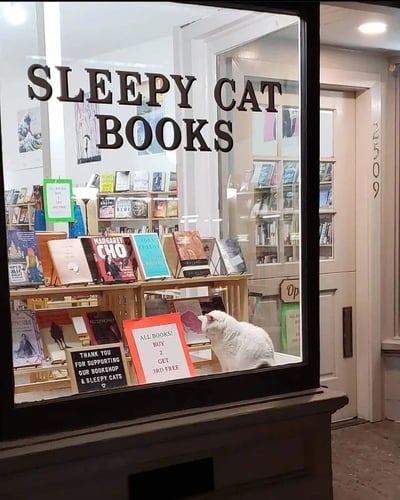 一家名为"SLEEPY CAT BOOKS"的独立书店橱窗展示。橱窗内摆放着各种书籍，上方有醒目的黑色店名招牌。一只白色猫咪安静地坐在橱窗内，成为书店的"活招牌"。橱窗内有多个促销标识，包括绿色的"ALL BOOKS! BUY 2 GET 3RD FREE"和黑色的"THANK YOU FOR SUPPORTING OUR BOOKSHOP & SLEEPY CATS"标语。书店内部可见书架和更多书籍，整体呈现出温馨、文艺的氛围。猫咪的存在为这家书店增添了独特的吸引力和治愈感。