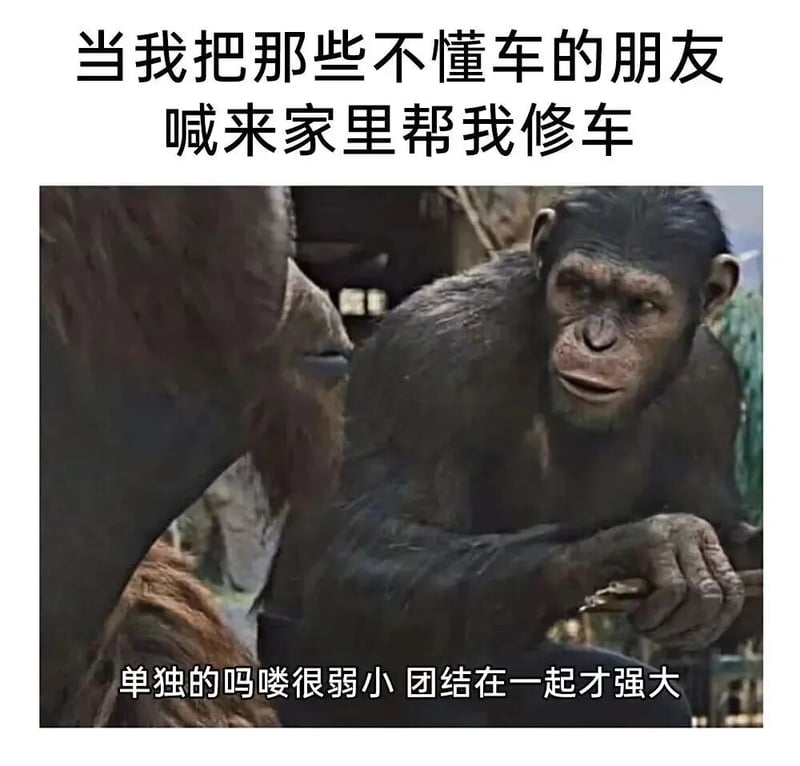 猩球崛起