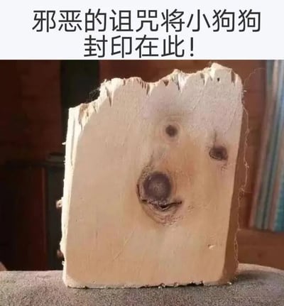 图片上方有一行文字：'邪恶的诅咒将小狗狗封印在此！'，下方是一块木头，其天然结疤形成了类似小狗脸的轮廓——两个较小的结疤如同眼睛，一个较大的深色结疤如同鼻子或嘴巴，整体看起来像是一只小狗被'封印'在了木头中，通过拟人化的文字和自然纹理的巧合制造出幽默可爱的效果。