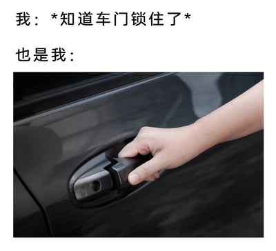 这是一张贴近生活的自嘲类梗图，通过上下文字与图片的搭配，展现了一种常见的下意识行为：明明清楚车门已经锁住，身体却还是忍不住去拉动门把手。上方文字分为两部分，第一部分标注“我：*知道车门锁住了*”，点明内心的认知，第二部分“也是我：”搭配下方一只手正在拉动锁死的汽车门把手的图片，形成认知与行为的反差，用幽默的方式调侃人们生活中这类无意义的下意识动作，容易引发大众的共鸣。