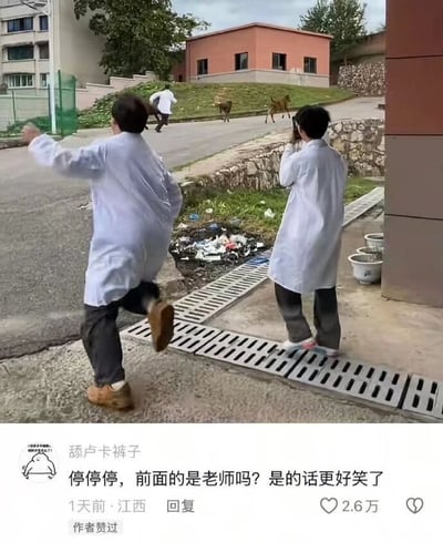 图片展示了三个穿着白大褂的人正在被两只狗追赶着奔跑的场景。背景是一个有建筑物和石墙的户外环境，地面上还有一些垃圾。图片下方有一条评论："停停停，前面的是老师吗？是的话更好笑了"，获得了2.6万点赞。