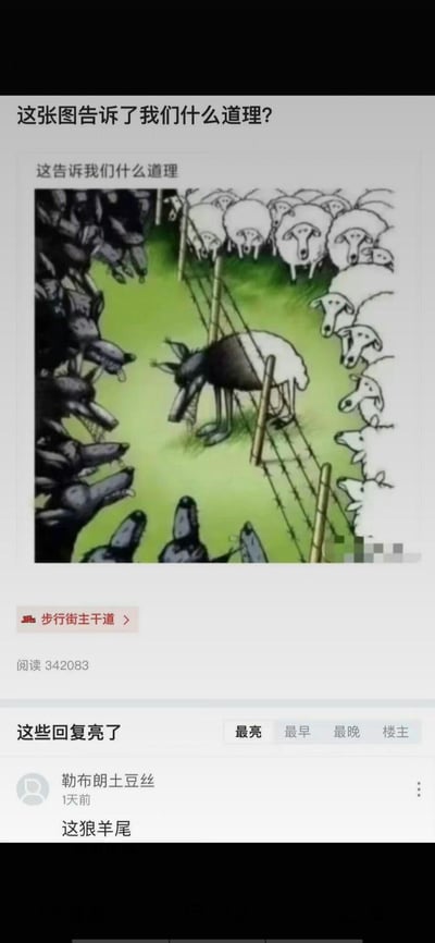 一张寓言风格插画，左侧一群凶狠的狼围在栅栏外，右侧是平静的羊群，而一只伪装成羊的狼（身体为狼，尾巴为羊）正低头站在羊群中。图片上方配有文字“这张图告诉了我们什么道理？”，下方显示有342083次阅读量和用户评论“这狼羊尾”。