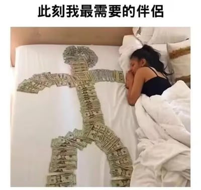 图片上方写着“此刻我最需要的伴侣”，床铺上有一名女生侧卧休息，床的另一侧用大量纸币（美元）摆成类似人的轮廓，仿佛钱成为了陪伴她的“伴侣”。画面充满幽默和调侃意味，表达了“有钱比伴侣管用”的现实或自嘲心态。双关和暗示：用钱这个形象代替爱情或者亲密关系对象，带有调侃现实、金钱至上的双关意味。