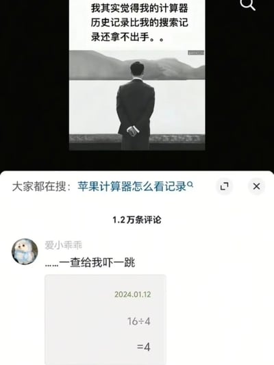 图片上半部分为黑白背景图，一名西装男子背对镜头站在湖边，上方配有文字“我其实觉得我的计算器历史记录比我的搜索记录还拿不出手。。”。下半部分为搜索结果截图，显示“大家都在搜：苹果计算器怎么看记录”及1.2万条评论，其中一条评论来自用户“爱小乖乖”：“……一查给我吓一跳”，下方附带有2024年1月12日的计算器记录“16÷4=4”。通过严肃的背景图与简单到滑稽的计算器历史记录形成反差，制造出“本以为很尴尬，结果只是基础算术”的幽默效果，带有自嘲和调侃意味。