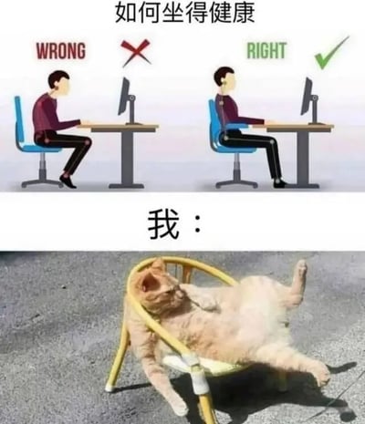 这张梗图分为上下两部分。上半部分展示了健康坐姿的正确与错误对比：左侧是错误坐姿（标注WRONG和叉号），右侧是正确坐姿（标注RIGHT和对勾），配有文字'如何坐得健康'。下半部分是一只胖乎乎的猫咪，以非常放松且不标准的姿势躺在一把小椅子上，旁边配有文字'我：'，幽默地表达了人们虽然知道正确坐姿，但实际却像猫咪一样随意的状态。没有双关或谐音梗，主要通过对比制造笑点。