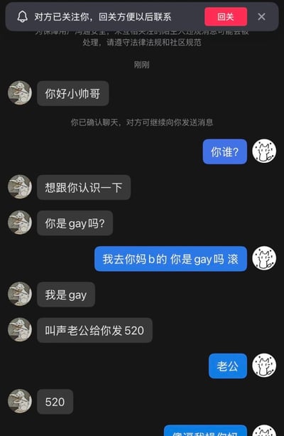 这是一张深色模式的社交媒体平台聊天记录截图，顶部有平台提示“对方已关注你，回关方便以后联系”的提示条和合规提示。对话双方分别为使用狗狗头像的陌生搭讪者，和使用简笔小猫头像的被搭讪用户。对话内容为：陌生搭讪者先打招呼想要认识对方，询问对方是不是同性恋，被对方怒骂后表明自己是同性恋，还提出叫一声老公就给对方发520元红包，被搭讪的用户见状立刻改口叫老公，陌生搭讪者真的发送了520，随后被搭讪的用户又开始怒骂对方，内容充满反差笑点，展现了用户为了利益快速转变态度的搞笑状态。