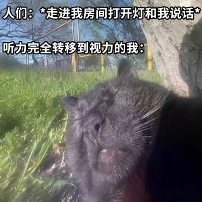 图片展示了一只黑猫闭着眼睛躺在绿色草地上，头部靠近树干，周围有树木和蓝天背景，显得十分慵懒安详。图片上方和中间有两行白色加粗文字，分别是“人们: *走进我房间打开灯和我说话*”和“听力完全转移到视力的我:”。通过黑猫闭眼休息的状态，幽默地比喻了当自己在休息时被他人打扰（开灯说话），注意力完全集中在视觉上的不适与无奈，形成一种搞笑的对比效果。