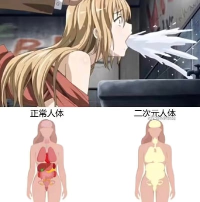 这是一张上下结构的吐槽梗图，上半部分是一段动画截图：一位金发露肩的动画女生，正对着水池大口喷出大量白色液体，表情看起来难受反胃；下半部分是两张人体示意图的对比，左侧标注「正常人体」，展示了真实的人体内脏结构，右侧标注「二次元人体」，则是一个从口腔到下体完全连通的大通腔结构。这张图用夸张的对比，搞笑地吐槽二次元动画中违背现实人体生理的夸张表现，比如能喷出大量液体的离谱设定，没有双关或谐音梗。