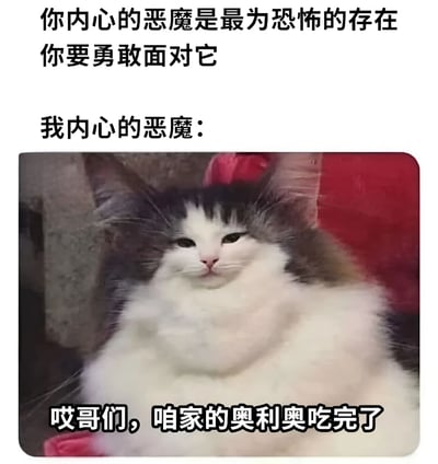 这是一张幽默梗图，上方配有严肃文字'你内心的恶魔是最为恐怖的存在 你要勇敢面对它'，中间以'我内心的恶魔:'过渡，下方是一只表情淡定的灰白色长毛猫照片，猫下方配有接地气的文字'哎哥们，咱家的奥利奥吃完了'。通过将抽象的'内心恶魔'概念与猫咪想吃饼干的生活化场景形成强烈反差，制造出搞笑效果。