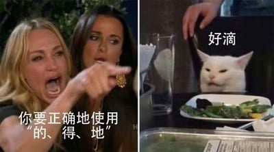 这是一张左右拼接的搞笑梗图，左侧截取了美国真人秀《比弗利娇妻》里的经典争执名场面：金发女子愤怒地大张嘴巴，手指前方，配文“你要正确地使用‘的、得、地’”，生动表现出对乱用中文结构助词的较真与不满；右侧是知名的“Smudge the Cat（餐桌猫）”梗图，一脸冷漠的白猫坐在餐桌前，配文“好滴”，以敷衍的态度回应左侧的指责。左右画面形成强烈反差，精准调侃了现实中很多人分不清“的、得、地”的用法，被指出后又敷衍应付的场景，充满搞笑效果。