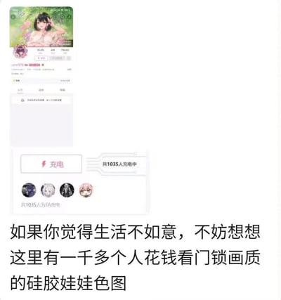这是一张用于安慰生活不顺者的吐槽梗图，上方截取了B站UP主的充电页面，显示有1035人为该UP主充电，该UP主的主页内容画质被调侃为如同“门锁画质”般模糊，下方配文“如果你觉得生活不如意，不妨想想这里有一千多个人花钱看门锁画质的硅胶娃娃色图”，通过调侃他人看似迷惑的消费行为，以自嘲式的幽默消解生活中的负面情绪。
