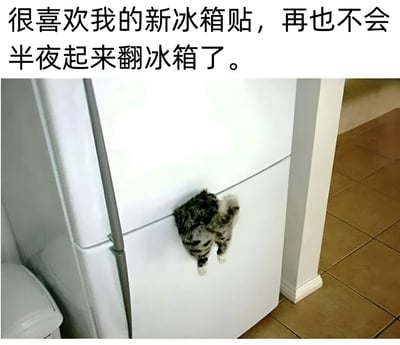 图片上方配有文字“很喜欢我的新冰箱贴，再也不会半夜起来翻冰箱了。”，下方是一张白色冰箱的实拍图。冰箱的冷冻室与冷藏室之间的缝隙处，有一个造型逼真的猫爪和猫尾巴从里面“伸”出来，营造出一只猫被困在冰箱里试图往外钻的有趣假象。这种创意冰箱贴通过幽默的视觉效果，暗示能阻止人半夜忍不住翻冰箱的行为，充满生活趣味。