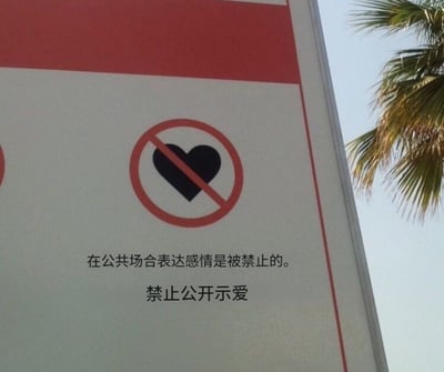 这是一张户外实拍的趣味标识照片，标识采用通用的禁令符号设计：红色圆圈加斜杠划掉黑色爱心图案，图案下方配有两行简体中文文字，分别是“在公共场合表达感情是被禁止的。”和“禁止公开示爱”，标识右上角的背景可见棕榈树叶片与淡蓝色晴朗天空，整体内容带有戏谑调侃的意味，常被用作梗图调侃公共场合亲密行为的相关约束话题。