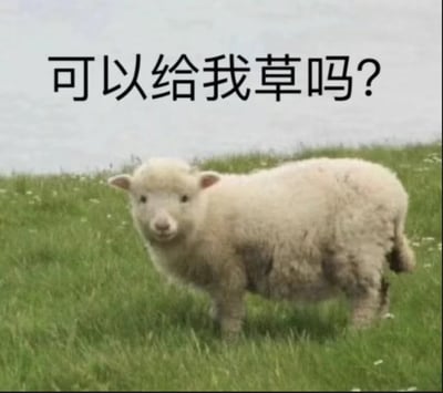 图片是一只呆萌的小羊站在绿色草地上，配有大字：“可以给我草吗？” 画面风格非常可爱，羊的眼神无辜又期待。文字表面意思是请求获得草（羊的食物），但“草”在网络语境中有“吐槽/评论”或“表情包梗”含义，常用于让他人发“草（哈哈）”、“笑”等，属于常见的中性玩梗场景。一句话体现了双重含义，既可理解为动物的真实需求，也可以是网友求乐、求互动的表达，轻松幽默。

双关说明：此图片中的“草”既指小羊实际吃的草，也玩梗暗示网络笑点或评论（即“笑死，我给你草”）。