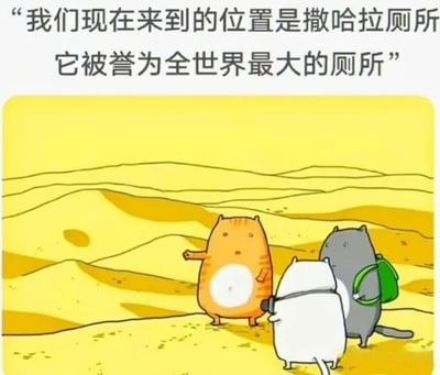 图片为一幅卡通风格的插画，画面主体是三只拟人化的卡通猫站在黄色的沙漠场景中。背景是起伏的沙丘，整体色调以黄色为主。上方配有文字“我们现在来到的位置是撒哈拉厕所 它被誉为全世界最大的厕所”，通过将撒哈拉沙漠幽默地戏称为“撒哈拉厕所”，制造出搞笑的效果。三只猫中，橙色的猫站在中间，伸出一只手似乎在向另外两只（白色和灰色，灰色猫背着绿色背包）讲解。