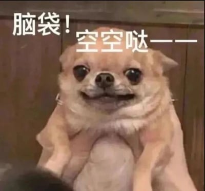 图片中是一只坐姿的吉娃娃，它表情呆萌，眼睛睁大，嘴巴微张，看起来有些困惑又可爱。图片上方有白色文字“脑袋！空空哒——”，用幽默的方式表达一种放空、思绪空白的状态。这张图常被用来形容人突然脑子一片空白、什么都想不起来的搞笑瞬间。