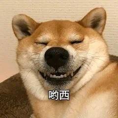 图片为一只柴犬的面部特写，狗狗双眼紧闭，嘴角上扬露出牙齿，呈现出开心微笑的表情。图片底部中央有黑色文字“哟西”，背景为浅色墙壁。整体给人可爱、轻松的感觉，常用于表达满意或俏皮的情绪。