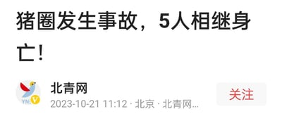 这是一张北青网发布的新闻标题截图，整体为网页端的资讯展示样式。截图顶部是醒目的加粗新闻标题“猪圈发生事故，5人相继身亡！”，标题下方左侧是带有认证V标的北青网标识，标识下方标注了发布时间2023-10-21 11:12、发布地点北京，右侧则有一个红色的“关注”按钮。该截图传递了一起造成5人死亡的猪圈相关事故的严肃新闻信息，图中不存在双关、谐音梗或暗示内容。