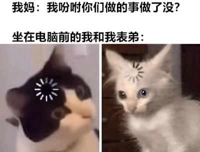 这是一张左右对比的搞笑梗图，上方文字描述了妈妈询问是否完成任务的场景，下方左侧是一只黑白猫，一只眼睛被螺旋图案覆盖，表情惊恐；右侧是一只白猫，额头有螺旋图案，表情无辜。通过两只猫的表情对比，幽默地展现了面对家长询问任务时的紧张与心虚反应。