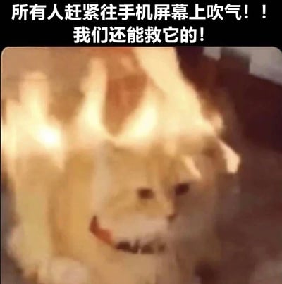 图片上方有醒目的白色文字："所有人赶紧往手机屏幕上吹气！！我们还能救它的！"。下方是一张经过特效处理的照片，显示一只浅色毛发的狗（看起来像金毛或萨摩耶）头部和身体周围被黄色火焰特效包围，狗的表情看起来有些惊恐，嘴巴微张。这张梗图通过制造视觉错觉，让狗看起来像是真的在燃烧，并配合文字引导观众做出无意义的互动（往手机屏幕吹气），从而产生幽默效果。
