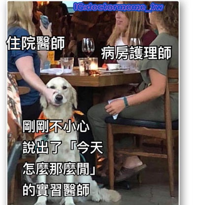 图片展示了三位女性在餐厅聚餐的场景，桌上摆放着酒杯、水杯和点燃的蜡烛。左侧女性被标注为“住院醫師”，正手持手机；右侧女性标注为“病房護理師”，坐姿端正；中间偏下位置有一只金色猎犬，前方文字标注“剛剛不小心說出了「今天怎麼那麼閒」的實習醫師”，幽默展现医疗职场中实习医师因说错话可能面临的尴尬情境。