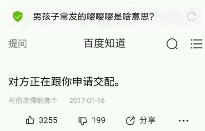 这是一张百度知道的网页UI截图，页面顶部展示了用户的提问“男孩子常发的嘤嘤嘤是啥意思？”，下方是用户“阿伯次得鹅佛个”在2017年1月16日给出的回答“对方正在跟你申请交配。”，该回答旁显示获得了3255个点赞、199个点踩，还有分享功能按钮。“嘤嘤嘤”原本是网络上模仿柔弱、撒娇的语气词，多用于表达委屈、撒娇的情绪，男生发这个大多是开玩笑、卖萌的表现，而该回答用低俗暗示的方式曲解了这个语气词的含义，属于恶搞性质的回答。
