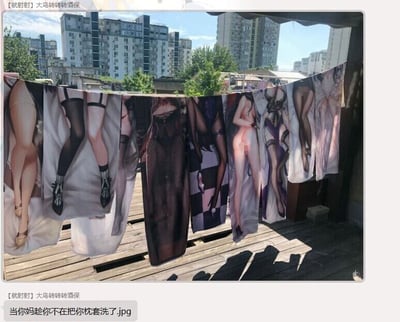 这是一张图文混排的静态图，整体分为上下两部分。上半部分是户外木质平台的实拍场景，平台上晾晒着多件等身抱枕套，这些抱枕套印有穿着暴露服饰的二次元美少女角色，背景是城市居民楼与绿植，呈现出日常晾晒衣物的画面；下半部分是聊天记录截图，用户“大鸟转转转酒保”发送文字“当你妈趁你不在把你枕套洗了.jpg”，结合上半部分的画面，讲述了二次元爱好者的私密周边（等身抱枕套）被家人误当成普通枕套清洗并晾晒的社死趣事，充满了尴尬又好笑的反差感，体现了二次元文化与现实生活碰撞出的趣味瞬间。