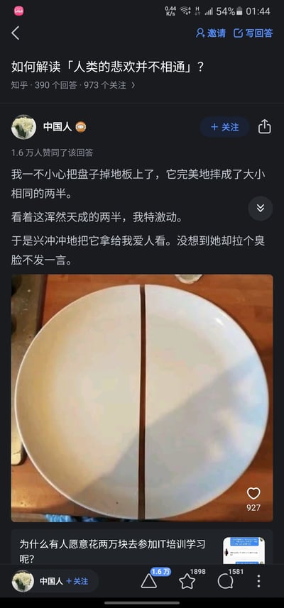 这是一张知乎平台的回答截图，针对问题「如何解读「人类的悲欢并不相通」？」，用户「中国人」分享了一件生活化的小事：自己不小心将盘子摔成完美对称的两半后十分激动，兴冲冲拿给爱人看，爱人却摆着臭脸一言不发，并配上了被摔成完全对称两半的白色盘子的实拍图。这件小事精准诠释了「人类的悲欢并不相通」——回答者为盘子摔得极具巧合的对称形态而惊喜，爱人却可能因盘子损坏而不悦，两人的情绪关注点完全不同，展现了人与人之间难以共情的日常瞬间。该回答获得了1.6万用户的赞同。