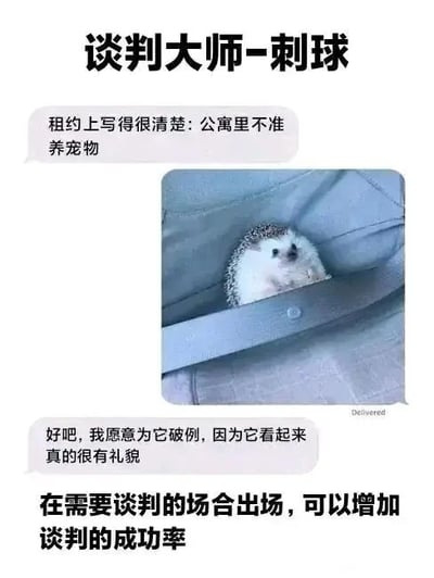 这是一张图文混排的搞笑静态单图，顶部标注标题“谈判大师-刺球”，中间是一张真实拍摄的刺猬照片，刺猬乖巧地待在布料结构中，露出头部，眼神无辜温顺。照片两侧搭配模拟的聊天对话：左侧是公寓管理者的发言“租约上写得很清楚:公寓里不准养宠物”，右侧是相关人员的回复“好吧,我愿意为它破例,因为它看起来真的很有礼貌”，图片右下角有“Delivered”的标识，底部配文“在需要谈判的场合出场,可以增加谈判的成功率”。整图的笑点在于利用刺猬乖巧软萌的外表，制造出“因为看起来有礼貌就打破禁养宠物规则”的反差感，将这只刺猬调侃为能帮人达成目的的“谈判大师”，用萌宠形象结合趣味对话营造轻松幽默的氛围，没有双关、谐音梗等内容。