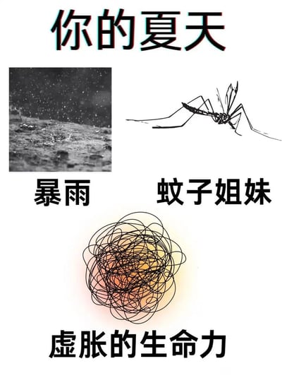 这是一张以“你的夏天”为主题的吐槽类图文梗图，顶部是带有红蓝色故障艺术效果的标题文字“你的夏天”。图中分为三个板块呈现夏日的典型困扰：左上是一张暴雨落在地面的实拍黑白图，下方配文“暴雨”；右上是一幅手绘风格的蚊子插画，蚊子呈飞行姿态，下方配文“蚊子姐妹”；底部是一团杂乱缠绕的黑色线条包裹着暖黄色的圆形图案，下方配文“虚胀的生命力”。整张图用幽默戏谑的方式，精准戳中夏日里遭遇暴雨、被蚊虫骚扰，以及被燥热和琐事裹挟而感到烦躁、心绪杂乱的大众情绪，引发共鸣。