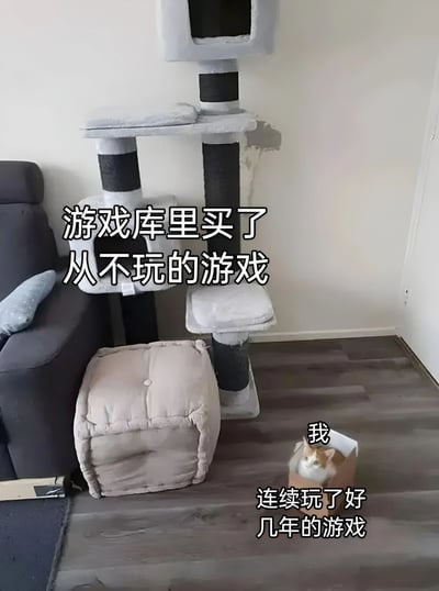图片展示了一个客厅场景，左侧是灰色沙发，旁边立着一个高大的多层猫爬架（灰白黑配色，有平台和猫窝），猫爬架下方有一个米色方形猫窝。而地板上一个普通的纸箱里，一只猫正舒适地蜷缩其中。图片通过文字幽默对比：猫爬架象征“游戏库里买了从不玩的游戏”，而纸箱里的猫则代表“我 连续玩了好几年的游戏”，用猫咪偏好纸箱而非昂贵猫爬架的行为，调侃玩家购买大量游戏却只沉迷少数几款的常见现象。