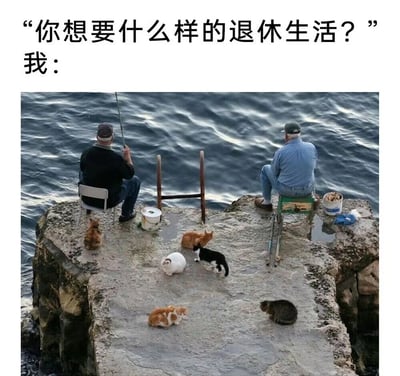 图片上方文字提问'你想要什么样的退休生活？'，下方以'我：'引出一张温馨场景图——两位白发老人坐在海边礁石上悠闲钓鱼，脚边围绕着五只毛色各异的猫咪，展现了人们向往的宁静、惬意的退休生活。