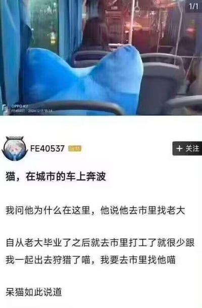 这是一张图文混排的社交媒体梗图，上半部分是公交车内的实拍照片，蓝色的座椅靠背因拍摄角度形成视觉错位，看起来像一只蓝色猫咪的背影，仿佛正坐在座位上乘车；下半部分是用户FE40537发布的拟人化文字内容：“猫，在城市的车上奔波”，接着以对话形式编造了猫咪的故事：“我问他为什么在这里，他说他去市里找老大。自从老大毕业了之后就去市里打工了就很少跟我一起出去狩猎了喵，我要去市里找他喵。呆猫如此说道”。创作者用“喵”作为语气词模仿猫咪说话的口吻，将错位的座椅拟人化为思念主人的猫咪，把日常通勤场景赋予温馨又搞笑的童话感，属于典型的错位摄影+文字创作的趣味梗图。