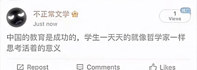 这是一条来自名为“不正常文学”的账号在海外社交平台发布的推广帖，发布时间显示为“Just now”，当前浏览量仅1次。帖子采用图文混排的形式，左上角配有一个皱眉撇嘴的黑色卡通表情，主文本以反讽的语气写道“中国的教育是成功的，学生一天天的就像哲学家一样思考活着的意义”，用黑色幽默的方式吐槽当下学生因学业压力过大，被迫陷入对人生意义的深层思考，实则是在表达对学生承受过重学业负担的调侃与无奈，容易引发学生群体的共鸣。