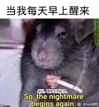 这是一张经过P图改编的文字加注梗图，主体是一只被拟人化的老鼠，它神情疲惫麻木，手持香烟，姿态颓废。图片上方配有文字“当我每天早上醒来”，下方配有“所以，噩梦又开始了。So, the nightmare begins again.”的中英双语文字。该图通过拟人化的动物形象与贴合的文字，精准地抒发了打工人以及对重复枯燥生活感到倦怠的人群，在每日醒来时要面对乏味日常的无奈与崩溃情绪，能够引发这类群体的强烈共鸣。