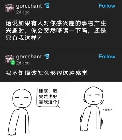 这是一张社交媒体截图，包含用户gorechant发布的两条帖子内容及下方的卡通插图。帖子内容为：“话说如果有人对你感兴趣的事物产生兴趣时，你会突然哆嗦一下吗，还是只有我这样？”和“我不知道该怎么形容这种感觉”。下方卡通图中有两个stick figure，左侧人物说“哇塞，我突然也好喜欢这个！”，右侧人物旁标注“*颤抖*”，表情略显不自然，生动展现了帖子中描述的当他人对自己感兴趣的事物产生兴趣时的微妙反应。